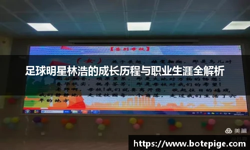 bsports必一体育